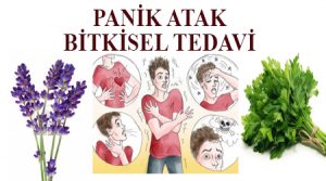 Panik atak tedavisi bitkisel - panik atağa ne iyi gelir , panik atak tedavisi evde , panik atak nasıl geçer , panik atak hastalığı nasıl geçer , panik atak tedavisi bitkisel çözüm , panik atak kesin çözüm , panik atağa iyi gelen bitkiler , panik ataktan nasıl kurtulurum