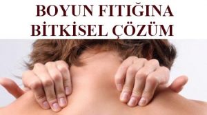 Boyun fıtığı tedavisi bitkisel - boyun fıtığı kesin çözüm - boyun fıtığı bitkisel tedavi - boyun fıtığı için bitkisel krem - boyun fıtığına ne iyi gelir evde - boyun fıtığına ne iyi gelir - boyun fıtığına bitkisel çözüm - boyun fıtığı alternatif tedavi - boyun fıtığı belirtileri