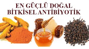 En güçlü bitkisel antibiyotik - en güçlü bitkisel antibiyotik - doğal antibiyotik evde nasıl yapılır - evde doğal antibiyotik tarifi - en güçlü doğal antibiyotikler - doğal antibiyotik yapımı - doğal antibiyotik tarifi - doğal antibiyotik nasıl yapılır