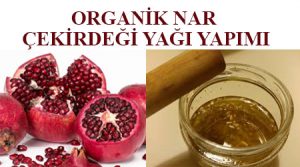 organik nar çekirdeği yağı yapımı - nar çekirdeği yağı nerede satılır - nar çekirdeği yağı nasıl elde edilir - nar çekirdeği yağı evde nasıl yapılır - nar çekirdeği yağı nasıl çıkarılır - nar çekirdeği yağı nasıl yapılır feridun kunak - saraçoğlu nar çekirdeği yağı - nar çekirdeği yağı saraçoğlu