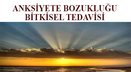 Anksiyete bozukluğu bitkisel tedavisi