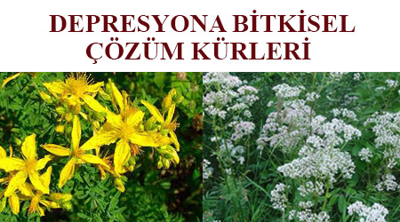 Depresyon bitkisel tedavi İbrahim Saraçoğlu - depresyona iyi gelen bitkiler ibrahim saraçoğlu - depresyon bitkisel tedavisi saraçoğlu - ibrahim saraçoğlu depresyon bitkisel çözüm - ibrahim saraçoğlu depresyon ve panik atak kürü