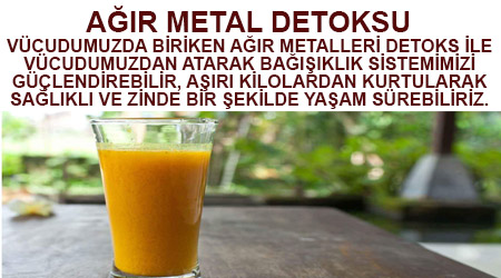 Ağır metal detoksu