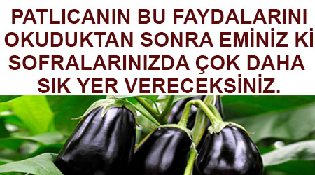 Patlıcanın faydaları