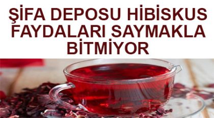 hibiskusun faydaları nelerdir